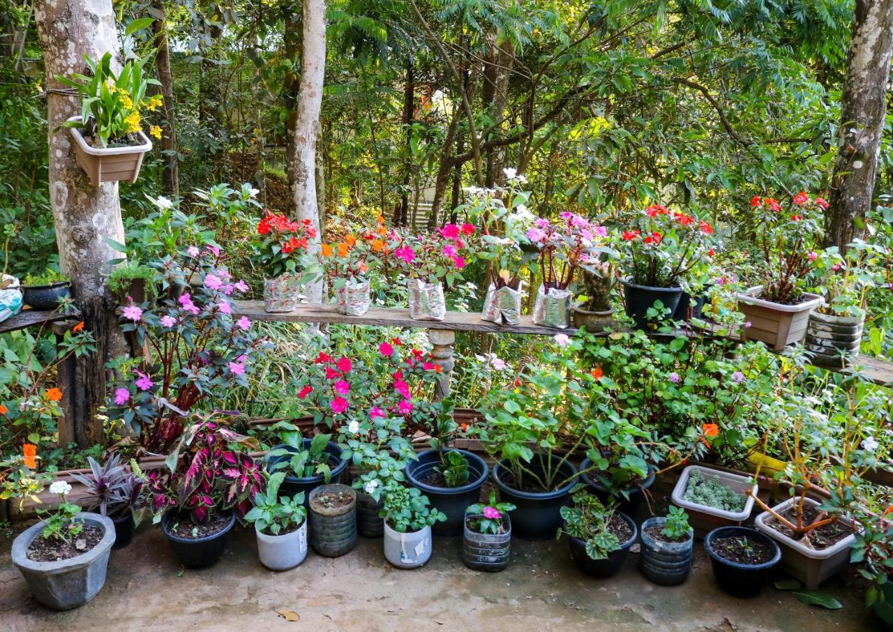 Secret Nest Homestay Ella Exterior foto