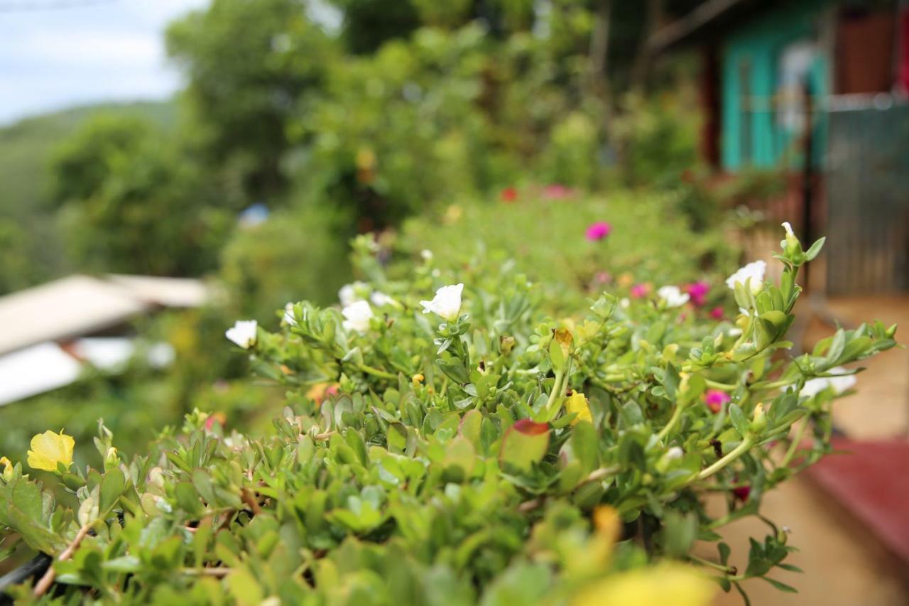Secret Nest Homestay Ella Exterior foto