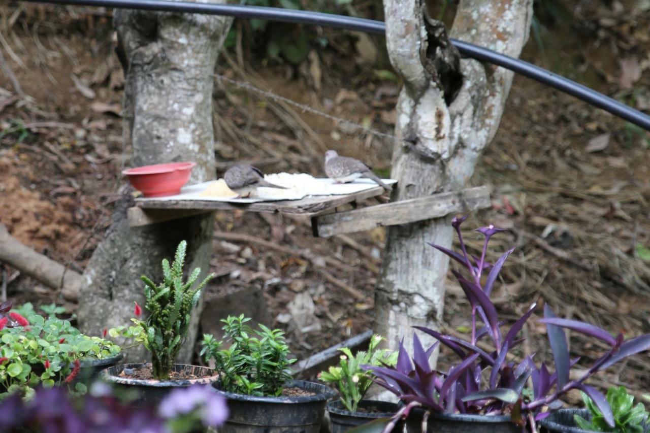 Secret Nest Homestay Ella Exterior foto